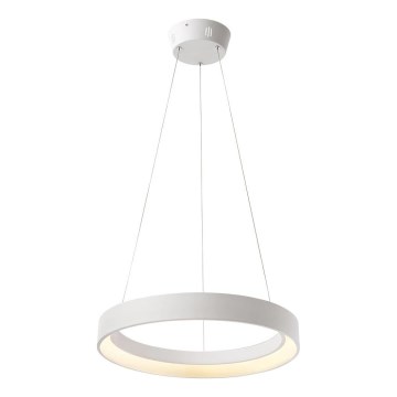 Lustră LED pe cablu Redo 01-672 LOOP LED/48W/230V d. 60 cm alb