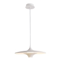 Lustră LED pe cablu RENE LED/19W/230V CRI 90 alb