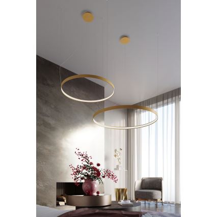 Lustră LED pe cablu RIO LED /50W/230V CRI95 4000K d. 78 cm auriu Thoro TH.181