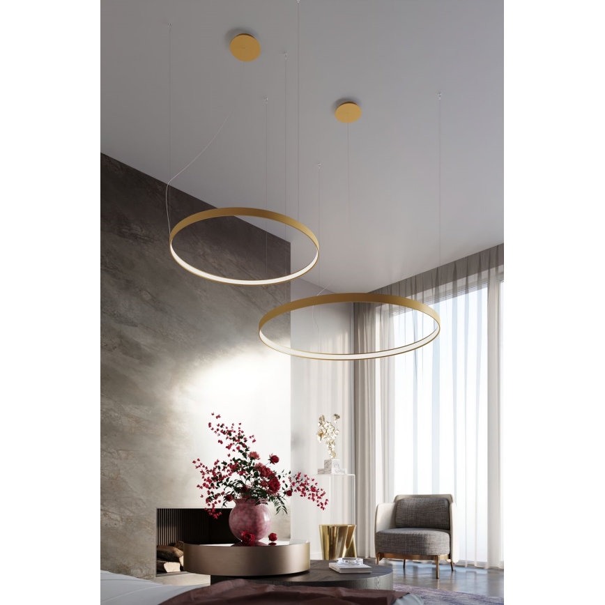 Lustră LED pe cablu RIO LED /50W/230V CRI95 4000K d. 78 cm auriu Thoro TH.181