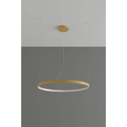 Lustră LED pe cablu RIO LED /50W/230V CRI95 4000K d. 78 cm auriu Thoro TH.181