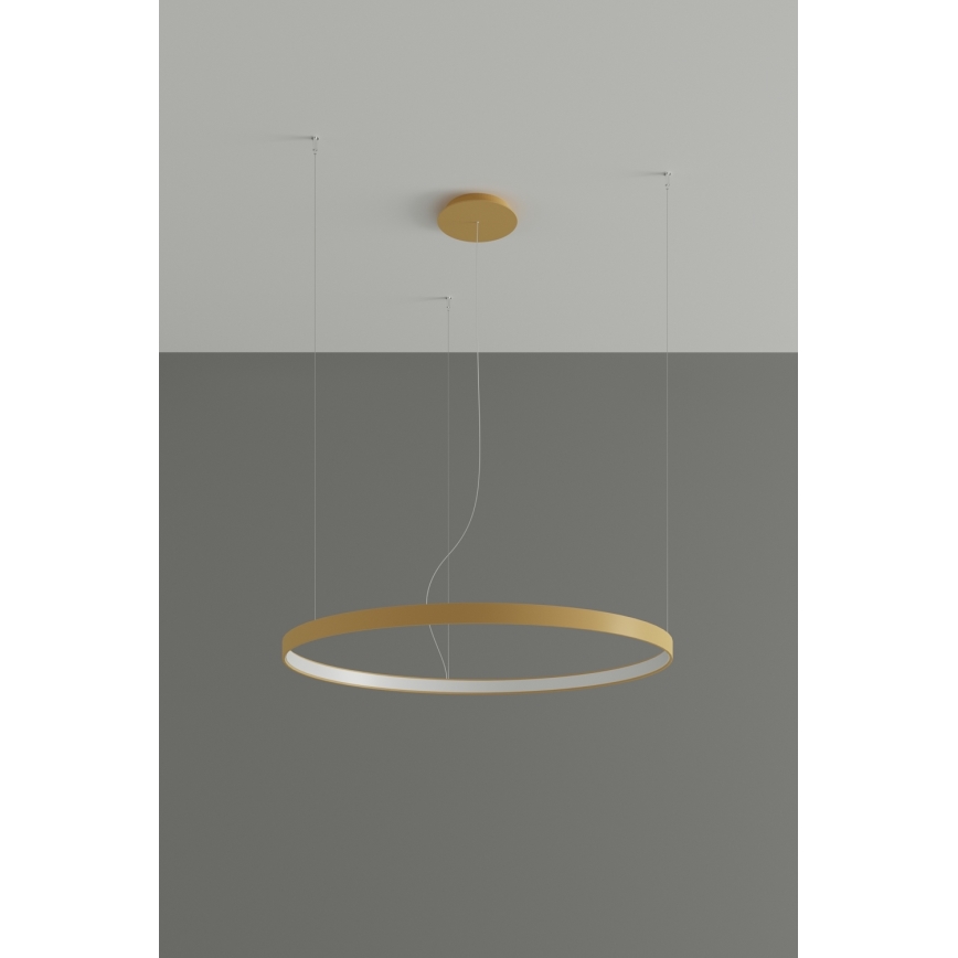 Lustră LED pe cablu RIO LED /50W/230V CRI95 4000K d. 78 cm auriu Thoro TH.181