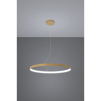 Lustră LED pe cablu RIO LED /50W/230V CRI95 4000K d. 78 cm auriu Thoro TH.181