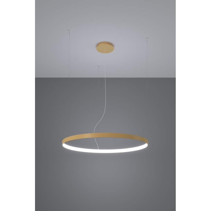 Lustră LED pe cablu RIO LED /50W/230V CRI95 4000K d. 78 cm auriu Thoro TH.181
