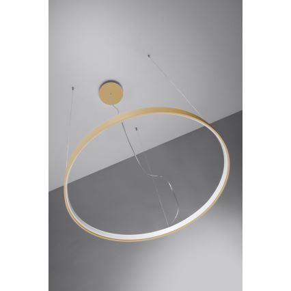 Lustră LED pe cablu RIO LED /50W/230V CRI95 4000K d. 78 cm auriu Thoro TH.181