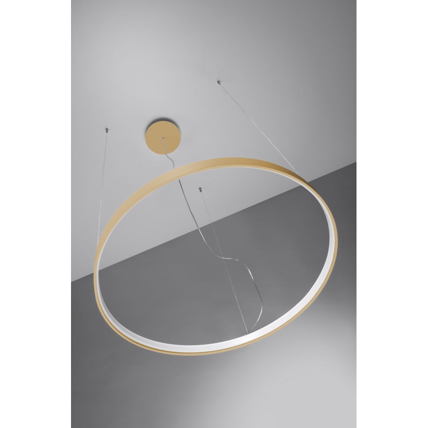 Lustră LED pe cablu RIO LED /50W/230V CRI95 4000K d. 78 cm auriu Thoro TH.181