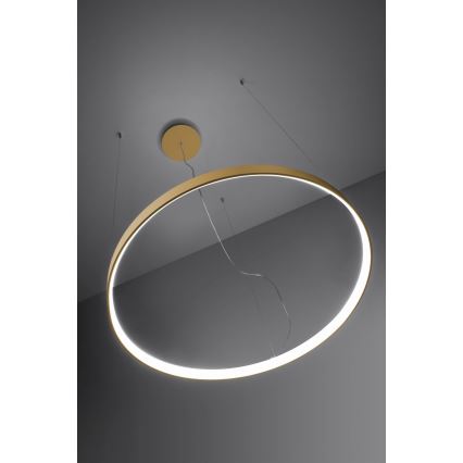 Lustră LED pe cablu RIO LED /50W/230V CRI95 4000K d. 78 cm auriu Thoro TH.181