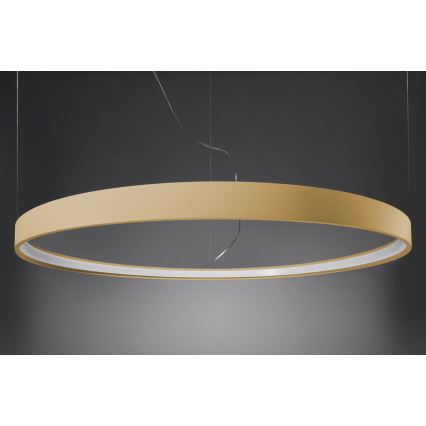 Lustră LED pe cablu RIO LED /50W/230V CRI95 4000K d. 78 cm auriu Thoro TH.181