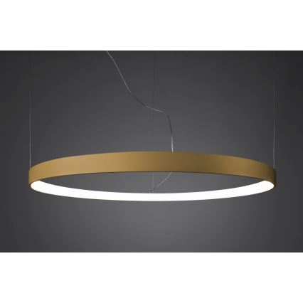 Lustră LED pe cablu RIO LED /50W/230V CRI95 4000K d. 78 cm auriu Thoro TH.181