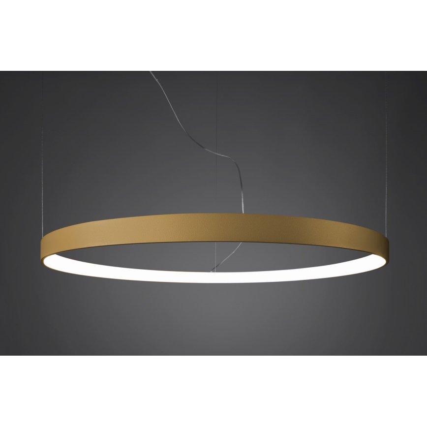 Lustră LED pe cablu RIO LED /50W/230V CRI95 4000K d. 78 cm auriu Thoro TH.181