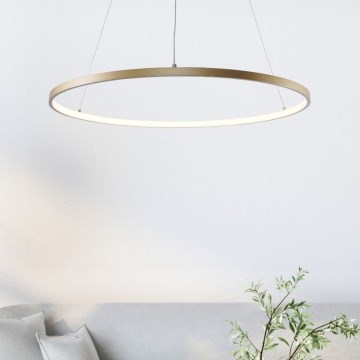 Lustră LED pe cablu Zuma Line LED/28W/230V 3000/4000/6000K d. 60 cm auriu