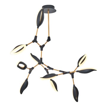 Lustră LED pe tijă ASTI 10xLED/7W/230V 3000K negru