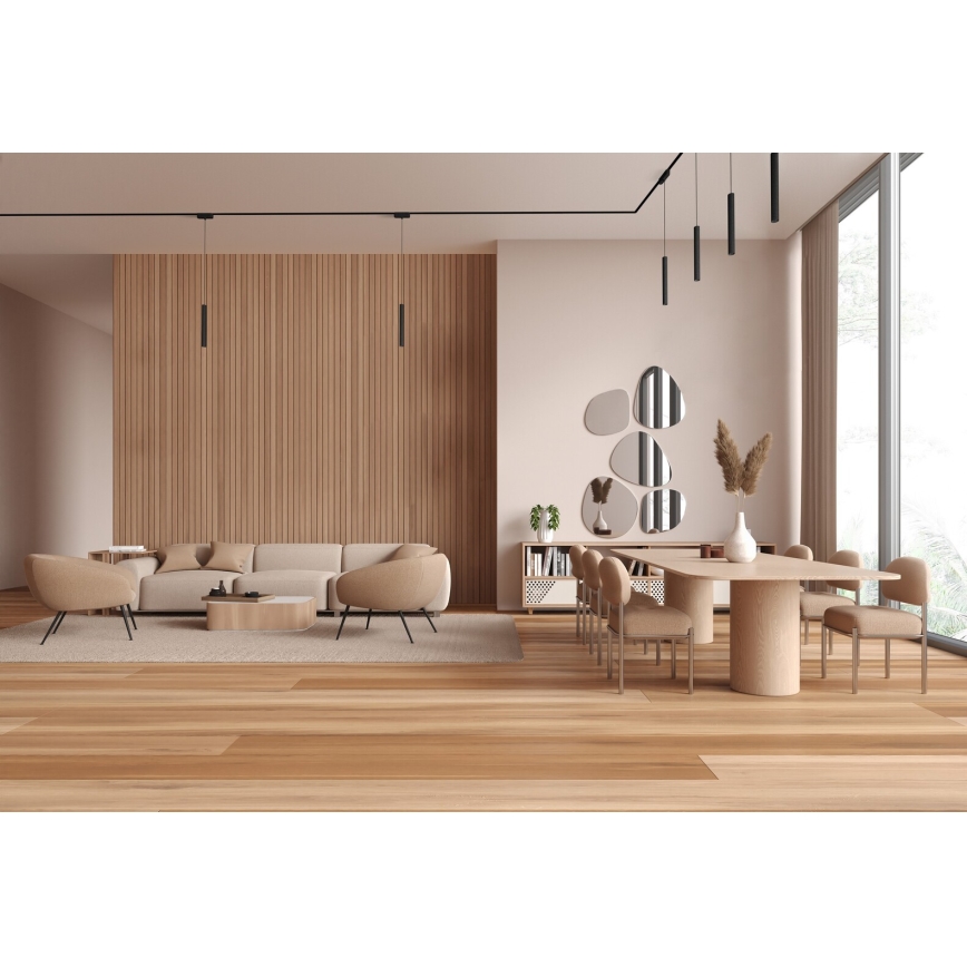 Lustră LED pentru sistem de șină monofazic Rabalux LED/5W/24V 3000K negru