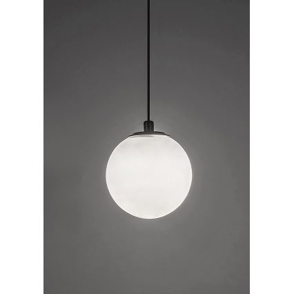 Lustră LED pentru sistem de șină monofazic Rabalux LED/5W/24V 4000K negru