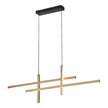 Lustră LED Rabalux pe cablu LED/40W/230V 3000K