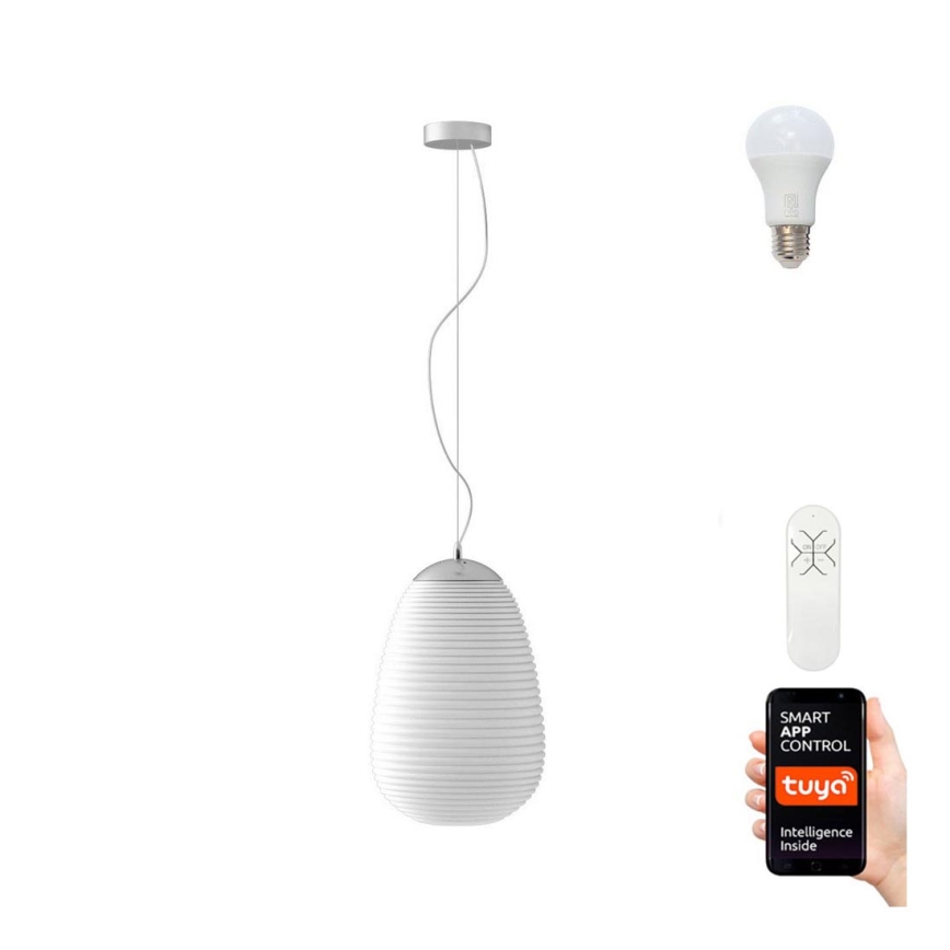 Lustră LED RGBW dimabilă COCONO 1xE27/8,5W/100-240V 24 cm Tuya Immax NEO 07066L