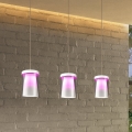 Lustră LED RGBW dimabilă pe cablu Eglo 3xLED/3,7W/230V 2700-6500K alb ZigBee