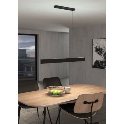 Lustră LED RGBW dimabilă pe cablu Eglo LED/38W/230V 2700-6500K negru