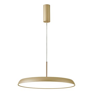 Lustră LED suspendată pe cablu ART LED/41W/230V, finisaj auriu