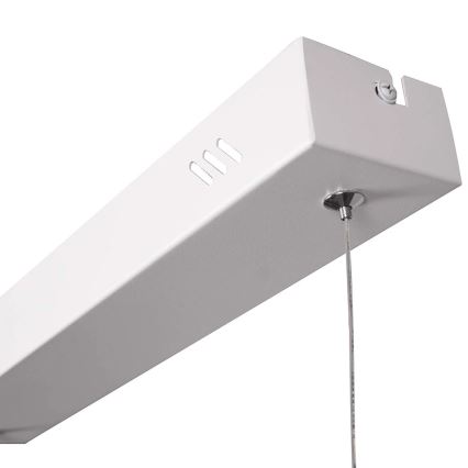 Lustră LED suspendată pe cablu BERNADETTA 20W 230V 4000K albă