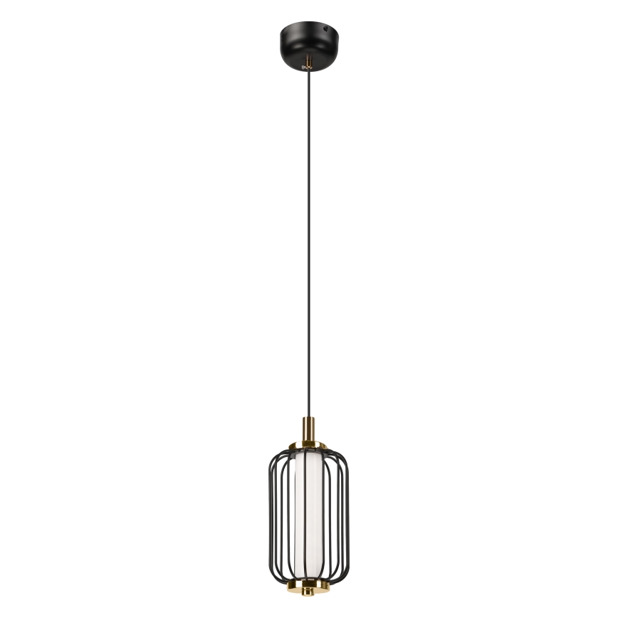 Lustră LED suspendată pe cablu BONNIE LED/10W/230V 3000K, neagră