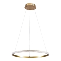 Lustră LED suspendată pe cablu DIANA LED/25W/230V 4000K Ø 50 cm auriu