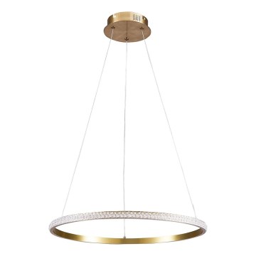Lustră LED suspendată pe cablu DIANA LED/25W/230V 4000K Ø 50 cm auriu