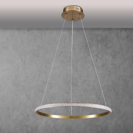 Lustră LED suspendată pe cablu DIANA LED/25W/230V 4000K Ø 50 cm auriu
