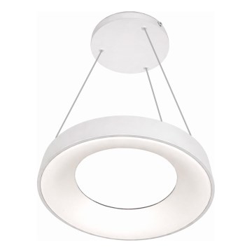 Lustră LED suspendată pe cablu DRAX LED/32W/230V 4000K, Ø 38 cm, albă