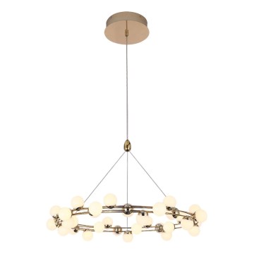 Lustră LED suspendată pe cablu MARS LED/50W/230V 3000K aurie