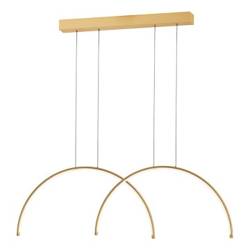 Lustră LED suspendată pe cablu MEGAN LED/39W/230V, auriu