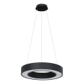 Lustră LED suspendată pe cablu UNION LED/40W/230V 3000/4000/6500K Ø 40 cm negru