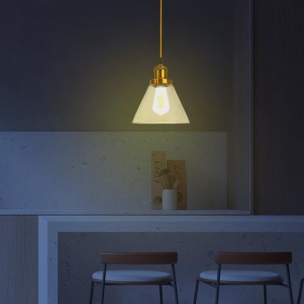 Lustră pe cablu 1xE27/60W/230V d. 18,5 cm