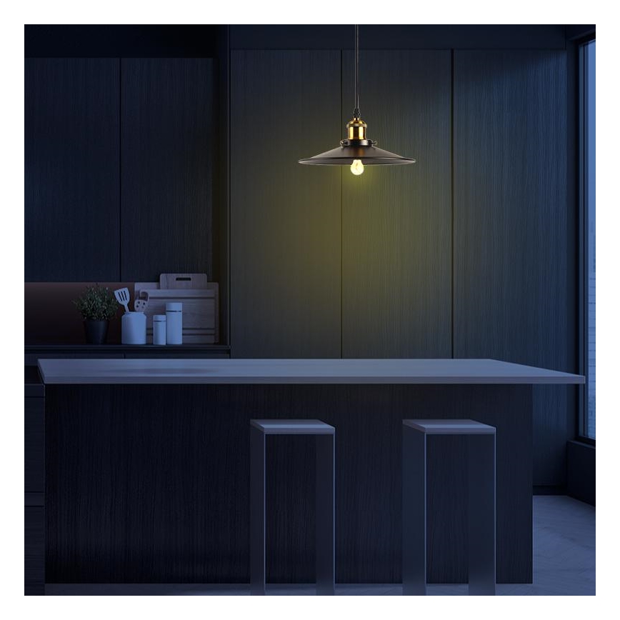 Lustră pe cablu 1xE27/60W/230V d. 26 cm negru