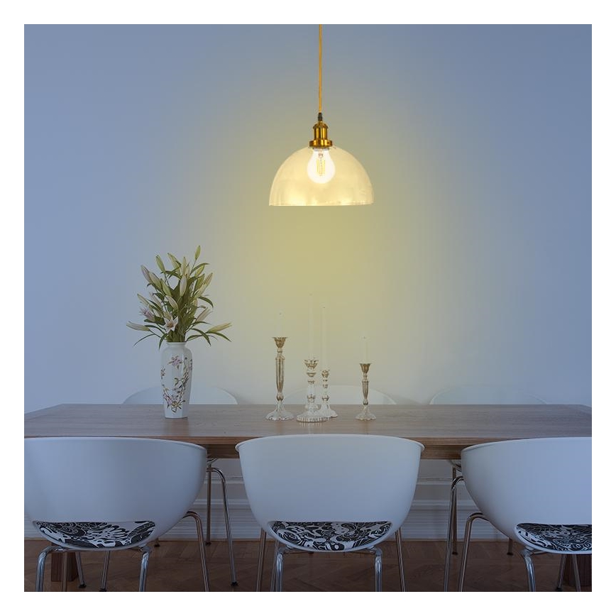 Lustră pe cablu 1xE27/60W/230V d. 30 cm
