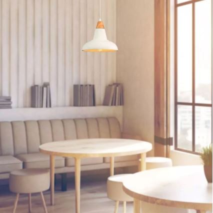 Lustră pe cablu 1xE27/60W/230V