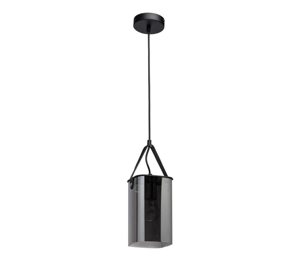 Lustră pe cablu ALPHA 1xE27/40W/230V De Markt 673015701