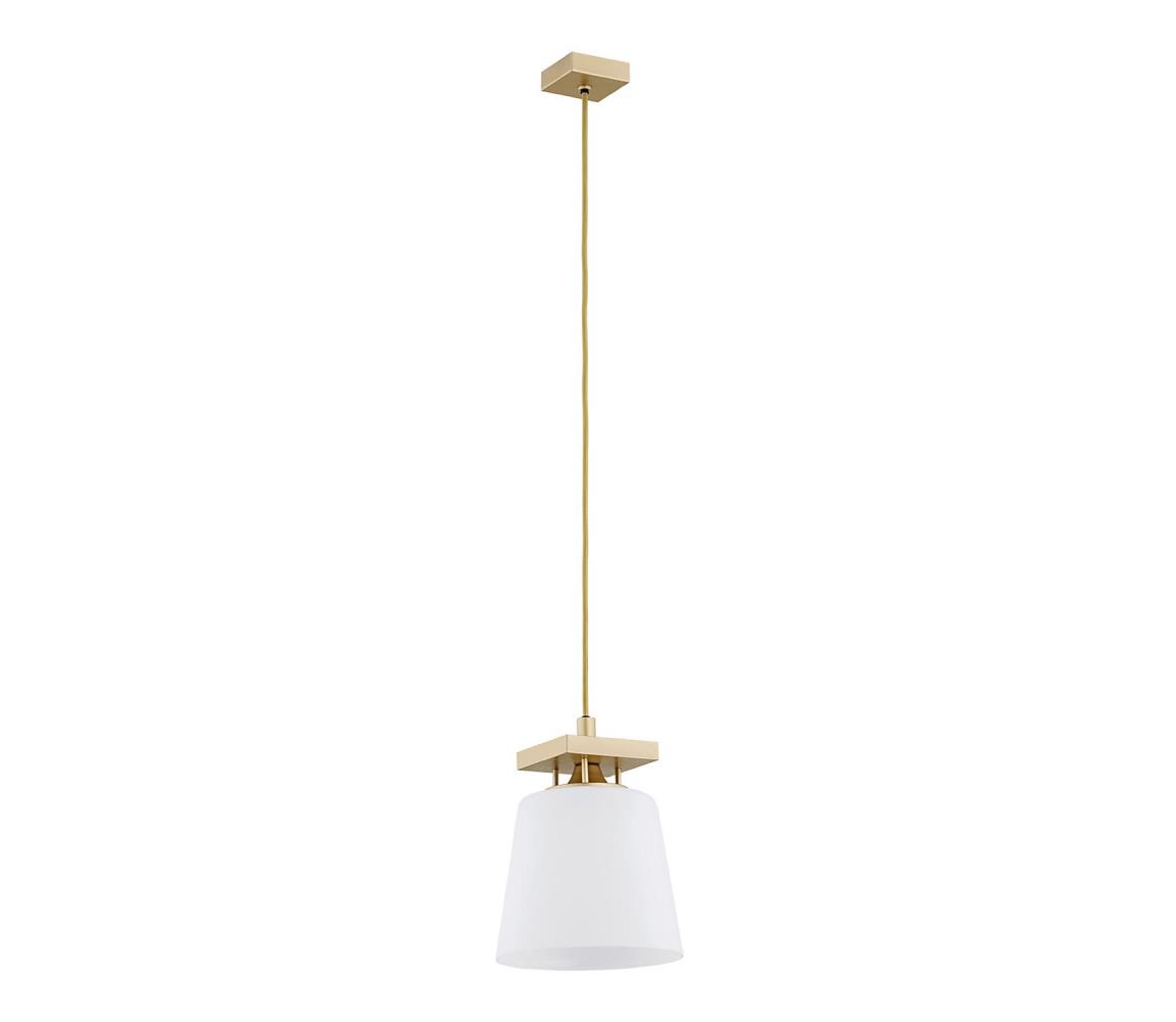 Lustră pe cablu ARDEN 1xE27/15W/230V Argon 8261