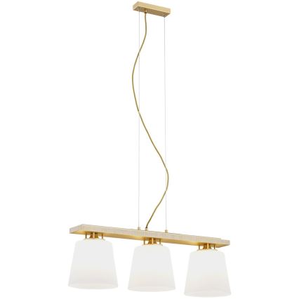 Lustră pe cablu ARDEN 3xE27/15W/230V Argon 6250