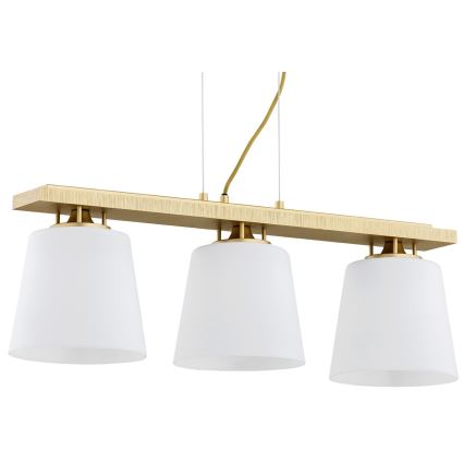 Lustră pe cablu ARDEN 3xE27/15W/230V Argon 6250