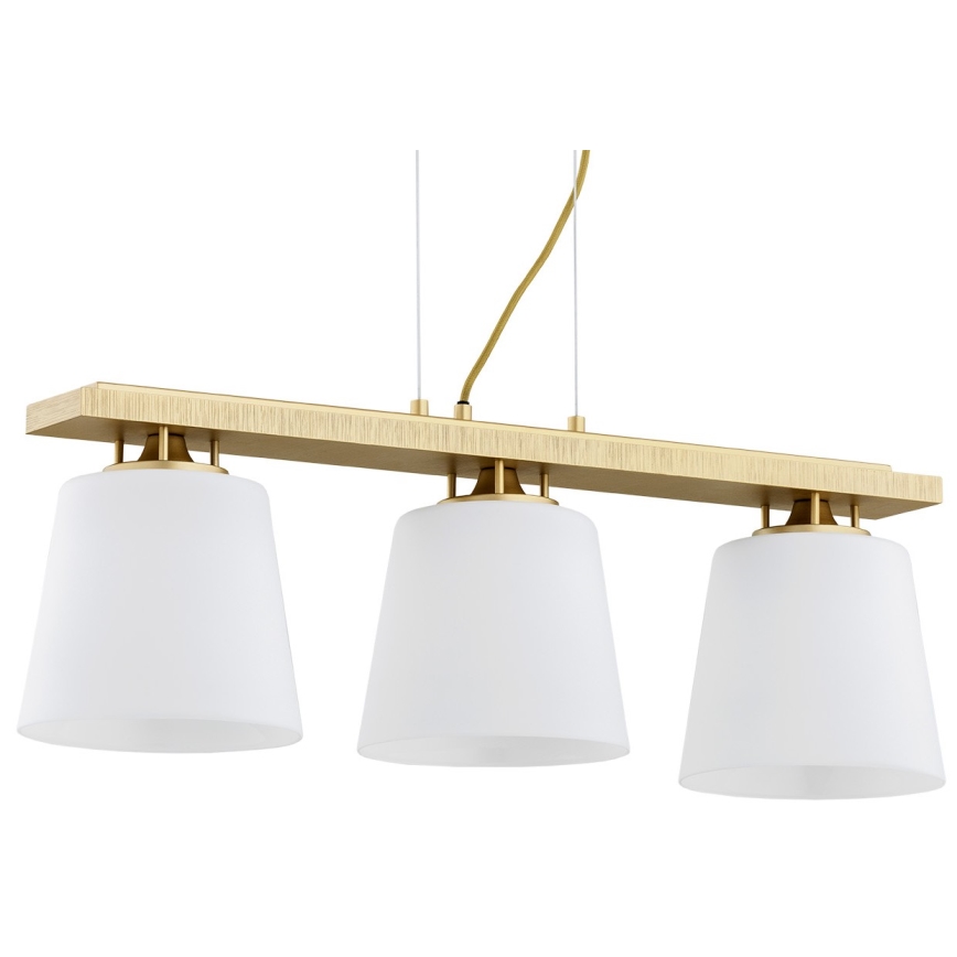 Lustră pe cablu ARDEN 3xE27/15W/230V Argon 6250