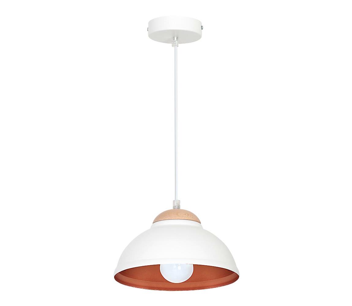 Lustră pe cablu ARNE 1xE27/60W/230V