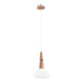 Lustră pe cablu ATOL 1xE27/60W/230V