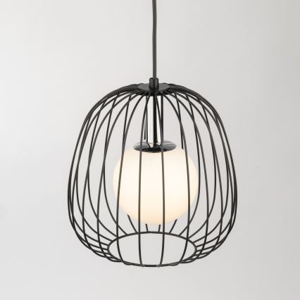 Lustră pe cablu BELL 1xG9/12W/230V d. 24 cm negru/crom lucios