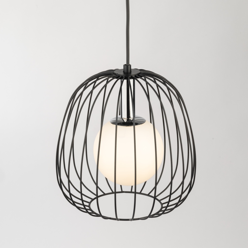 Lustră pe cablu BELL 1xG9/12W/230V d. 24 cm negru/crom lucios