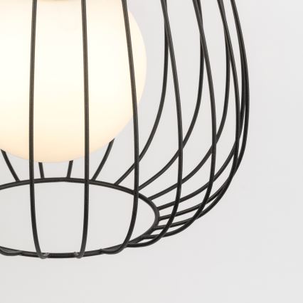 Lustră pe cablu BELL 1xG9/12W/230V d. 24 cm negru/crom lucios