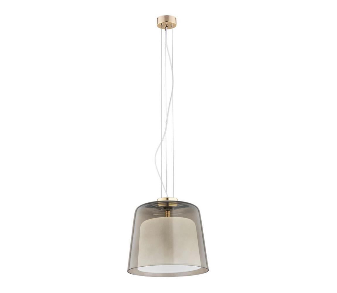 Lustră pe cablu BERKLEY 1xE27/15W/230V Argon 4697