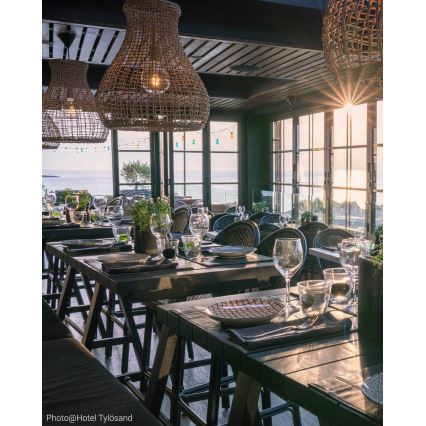 Lustră pe cablu ByRydens SEAGRASS 1xE27/8W/230V bej d. 49 cm