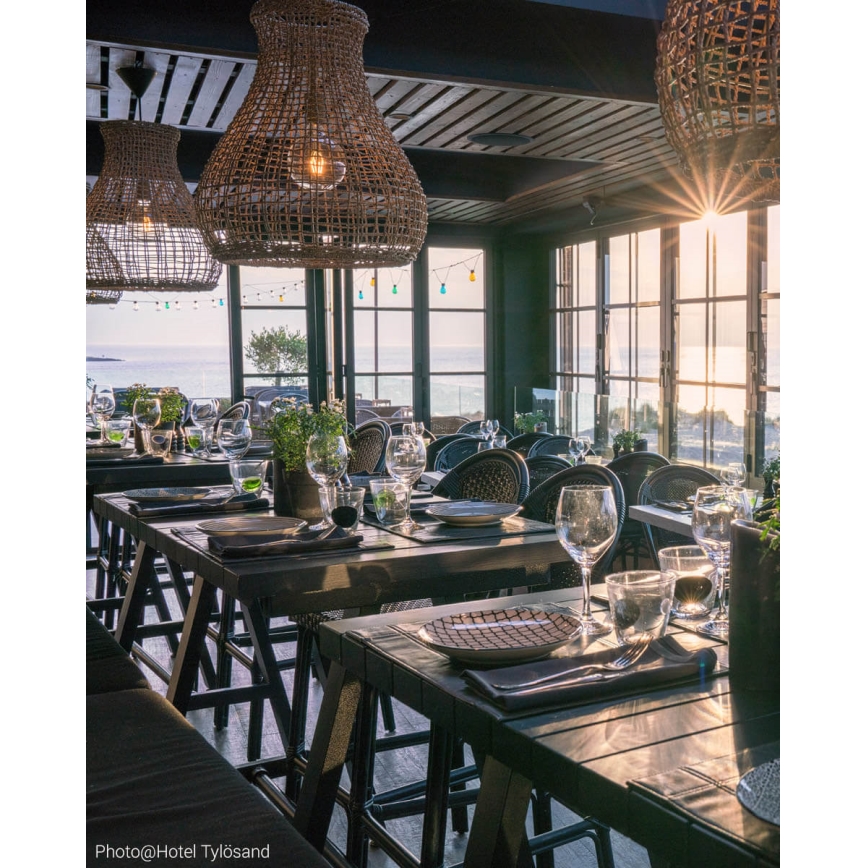 Lustră pe cablu ByRydens SEAGRASS 1xE27/8W/230V bej d. 49 cm