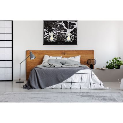 Lustră pe cablu CEED 2xE27/60W/230V